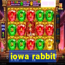 iowa rabbit