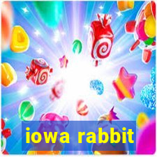 iowa rabbit