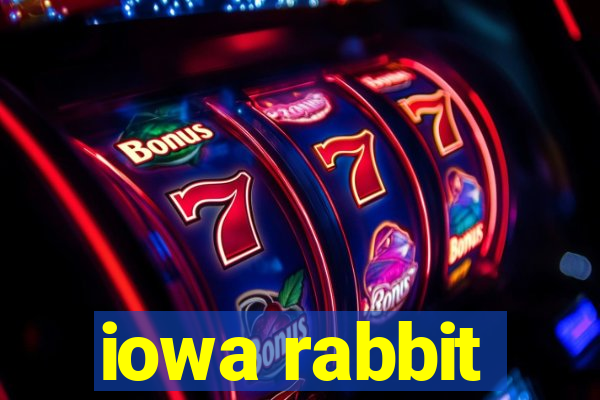 iowa rabbit