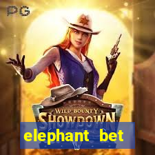 elephant bet aviator login