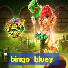 bingo bluey personajes png