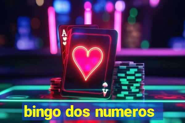 bingo dos numeros