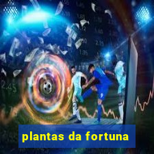 plantas da fortuna