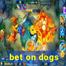 bet on dogs