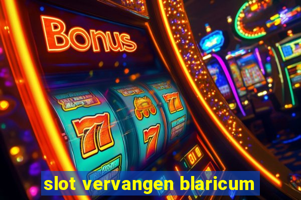 slot vervangen blaricum