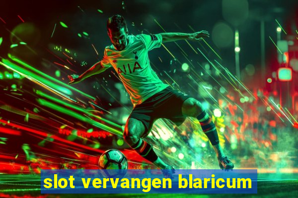 slot vervangen blaricum