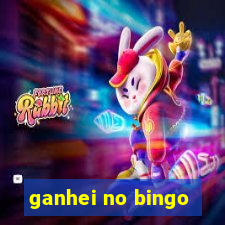 ganhei no bingo