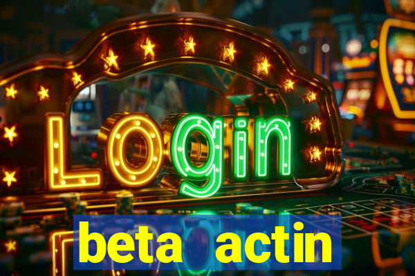 beta actin molecular weight