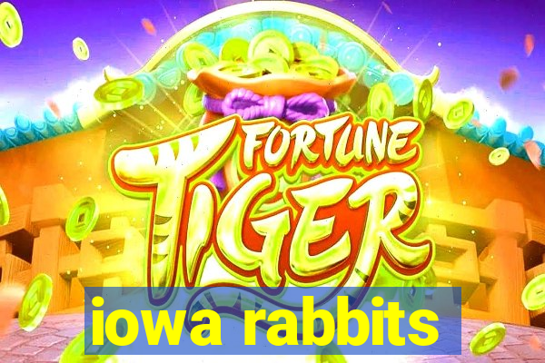 iowa rabbits