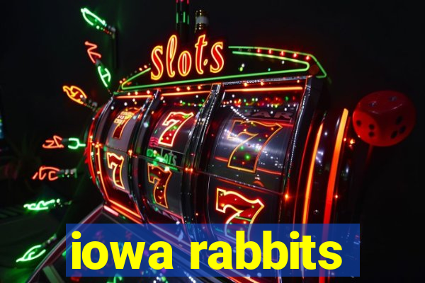 iowa rabbits