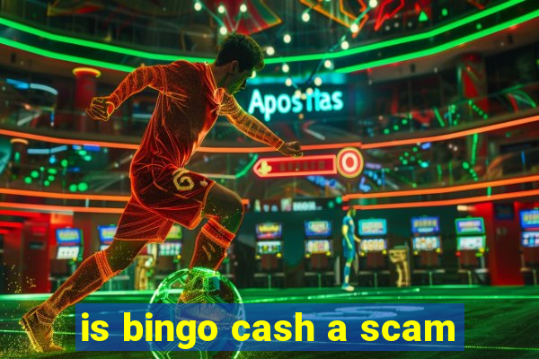 is bingo cash a scam