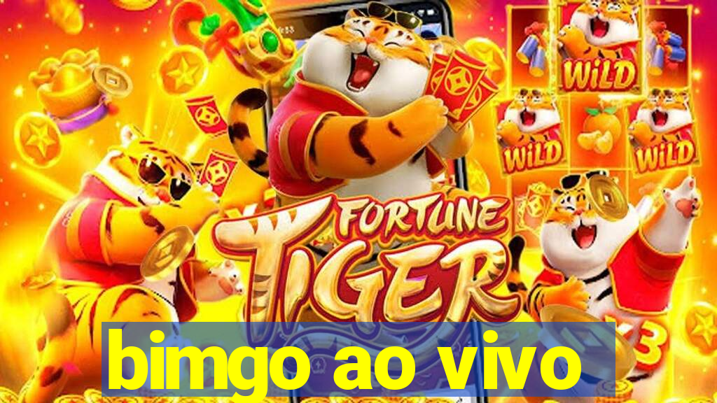 bimgo ao vivo