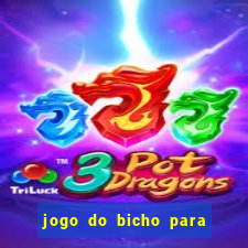 jogo do bicho para ganhar dinheiro