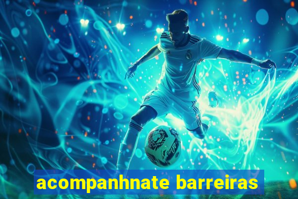 acompanhnate barreiras