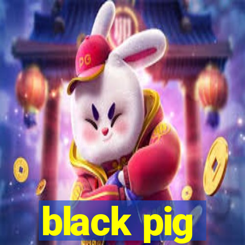 black pig