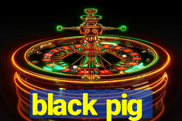 black pig