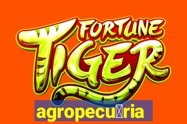 agropecu谩ria jaragua do sul