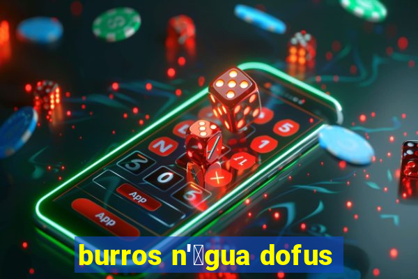 burros n'谩gua dofus