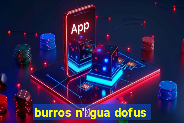 burros n'谩gua dofus