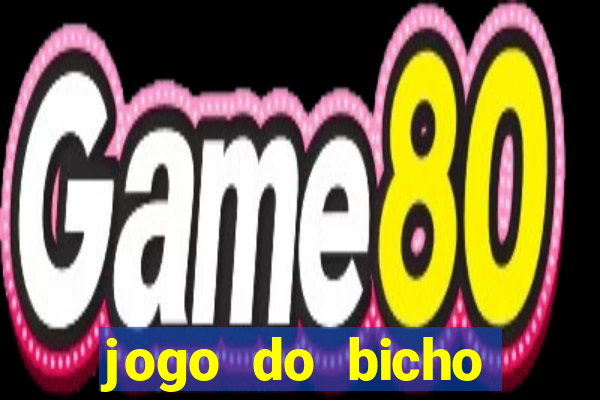 jogo do bicho crash mines