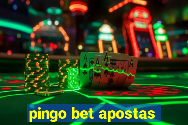 pingo bet apostas