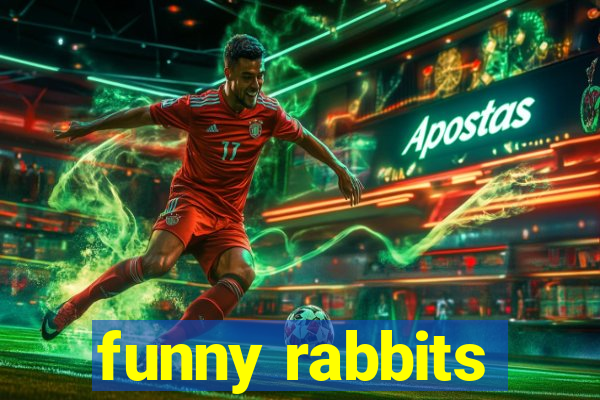 funny rabbits