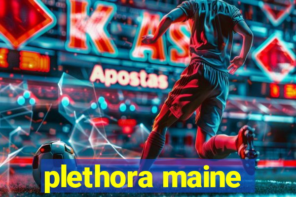 plethora maine