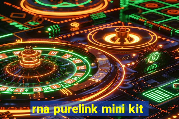 rna purelink mini kit