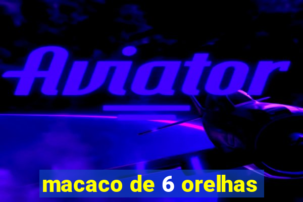 macaco de 6 orelhas