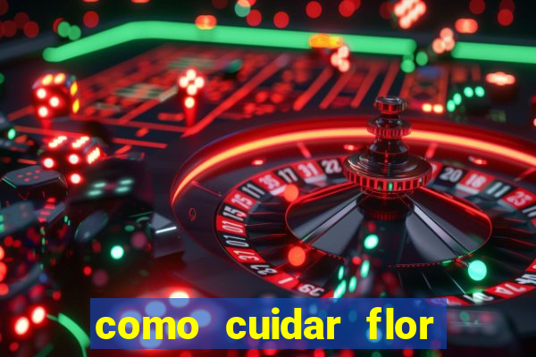 como cuidar flor da fortuna