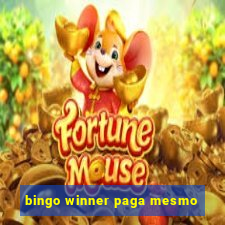 bingo winner paga mesmo