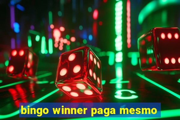 bingo winner paga mesmo