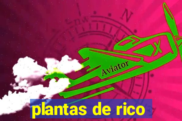 plantas de rico