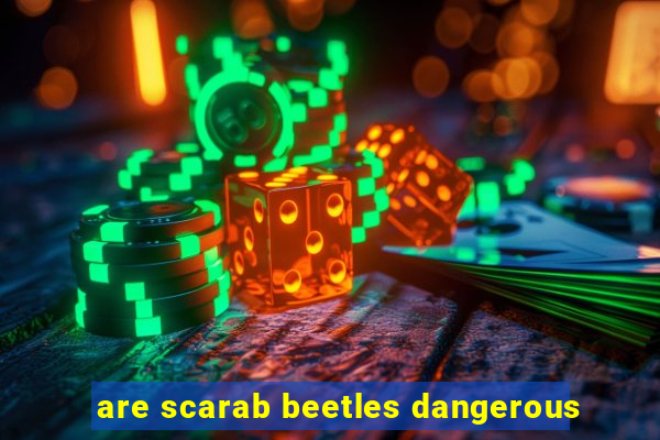 are scarab beetles dangerous