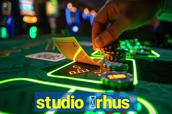 studio 氓rhus