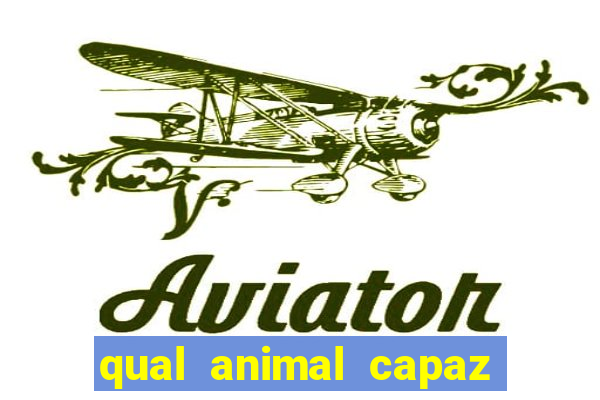 qual animal capaz de atingir 230 decibéis