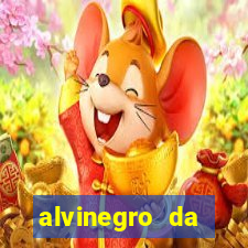 alvinegro da ribeira twitter