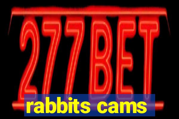 rabbits cams