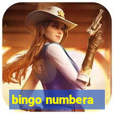 bingo numbera