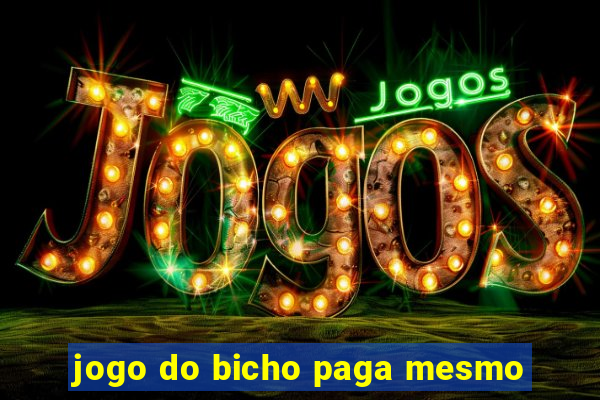 jogo do bicho paga mesmo