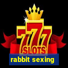 rabbit sexing