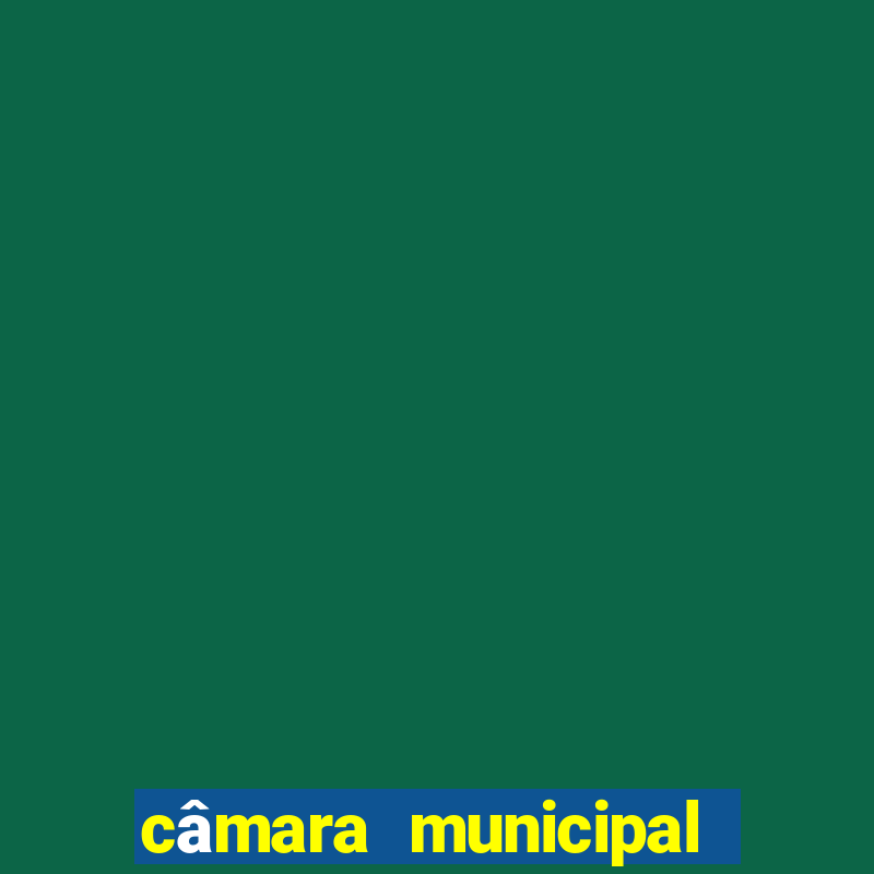 câmara municipal de juazeiro