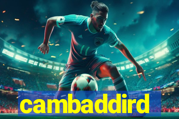 cambaddird