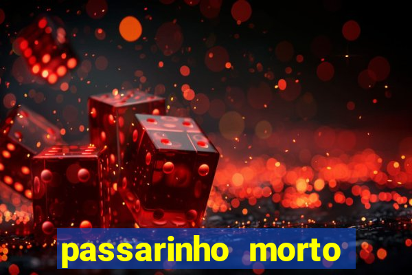 passarinho morto significado espiritual