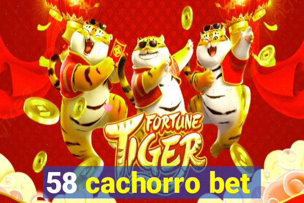 58 cachorro bet