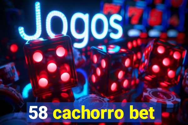 58 cachorro bet