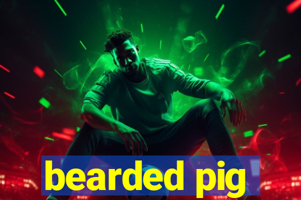 bearded pig