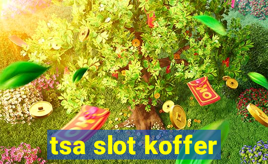 tsa slot koffer