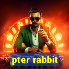 pter rabbit