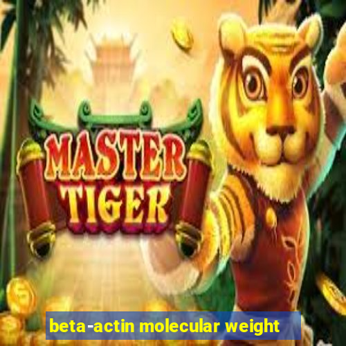 beta-actin molecular weight